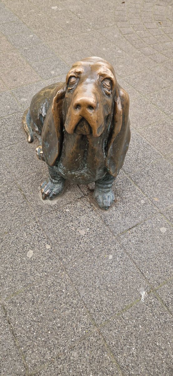ookah's tweet photo. @Meeea Le chien est adorable. On est tombé dessus vraiment par hasard j'ai direct pensé "holalala Meeea elle doit connaître". https://t.co/AoNAz5PFRb