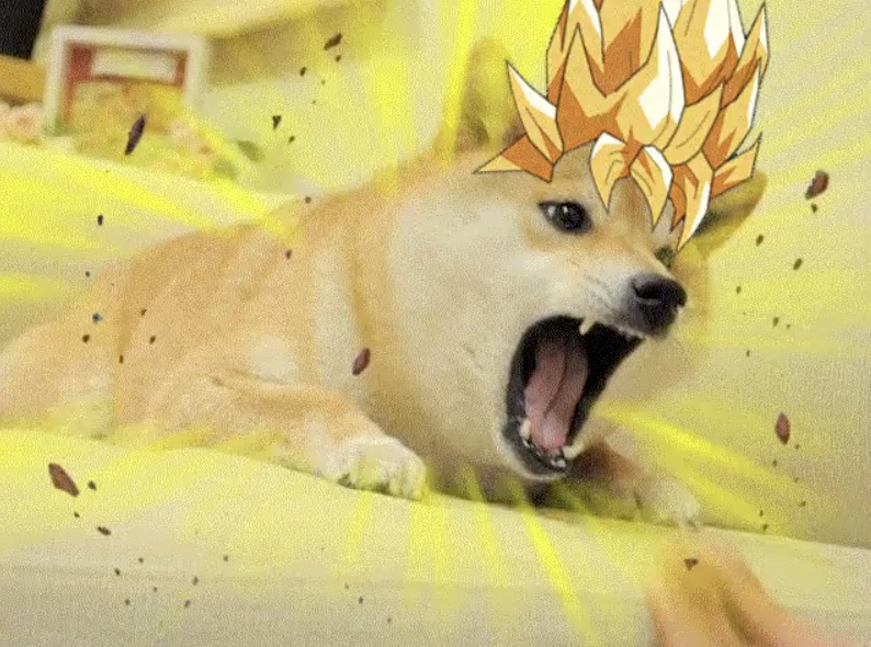 ANFDtoken's tweet image. We like the angry one huh