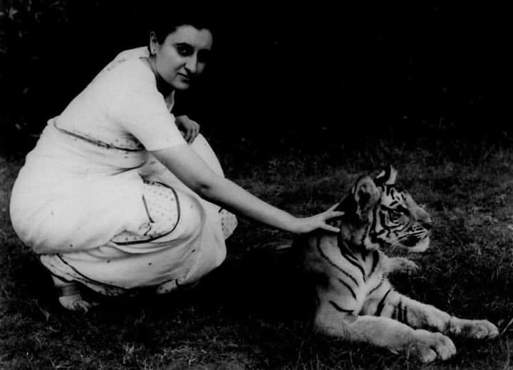 On this day, in 1973, ‘Project Tiger’ was launched by Smt. Indira Gandhi the former PM of India 

One of the most successful wildlife conservation programmes in the world. 

#ProjectTiger 🐅