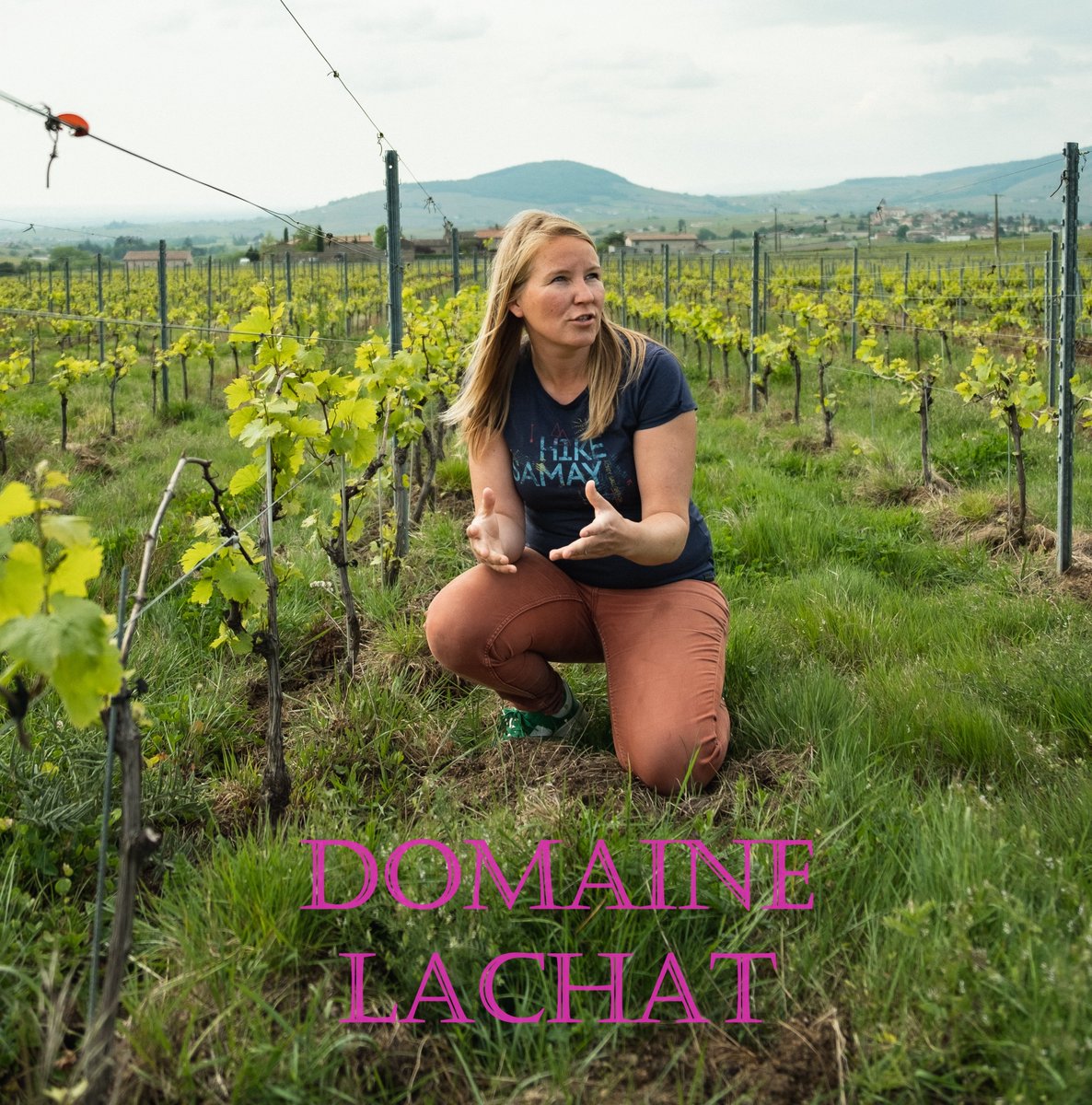 Souslespav's tweet photo. 𝐒𝐋𝐏𝐋𝐕 10 édition 𝐉 - 𝟑𝟒 !
🧐 Vous y découvrirez notamment le superbe domaine Lachat (Beaujolais). Aux manettes de cette ferme viticole de 3 ha, Anne et Thijs, vignerons naturels passionnés, originaires des Pays-Bas.
🎟️ https://t.co/xxcvIxwCoY
#slplv #vinnaturel #paris https://t.co/6sxTbyiKPP