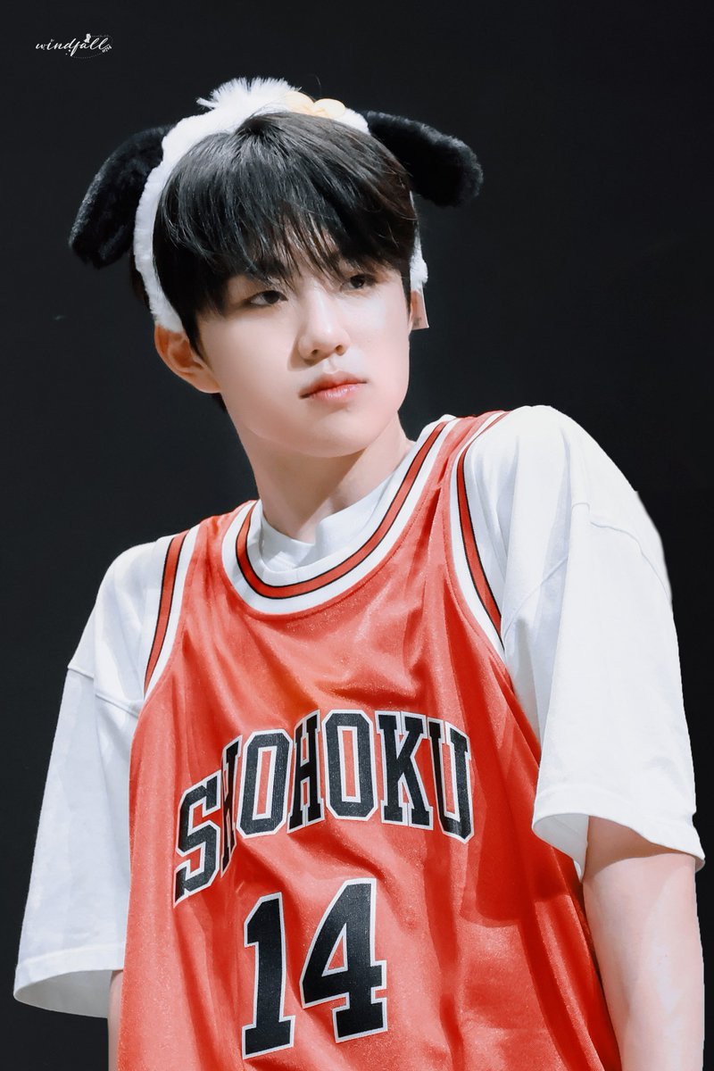 WINDFALL_JiHoo🥽 tweet media