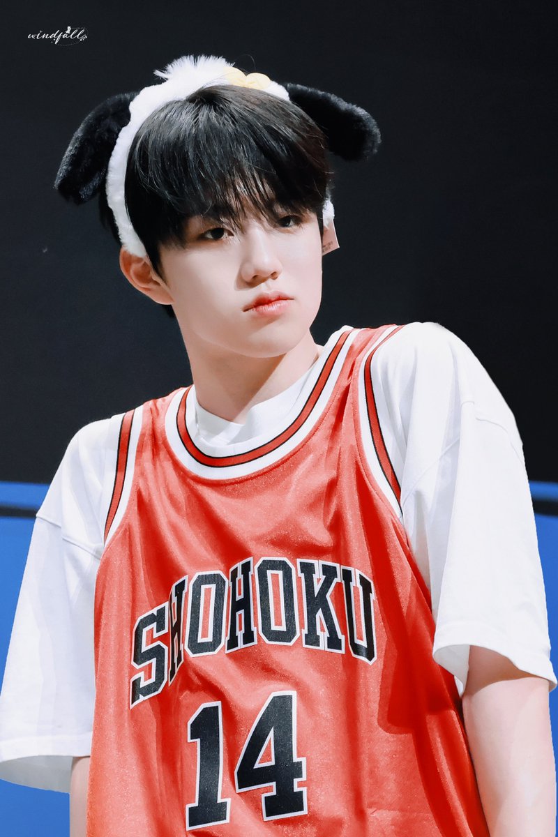 WINDFALL_JiHoo🥽 tweet media
