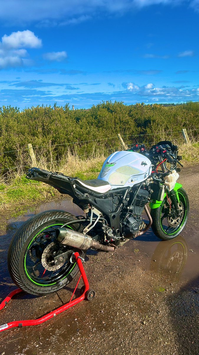 cryptocoops.eth tweet media