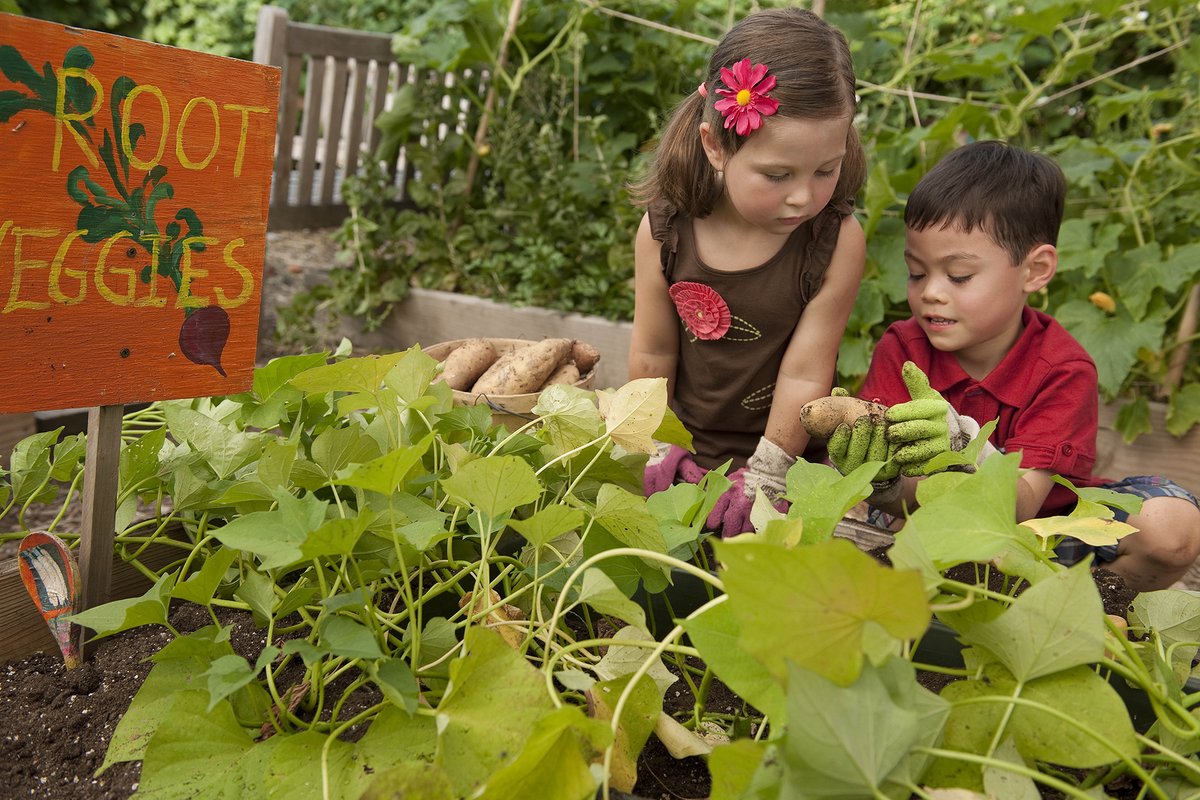 April is #NationalGardenMonth – let’s grow! Get started with Team Nutrition’s Garden Resources for educators and kids: fns.usda.gov/tn/team-nutrit…