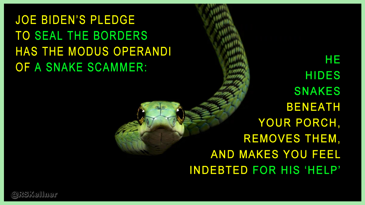 SNAKE SCAMMERS: #BIDEN, #DEMOCRATICPARTY, & #MSM Create a problem, blame it on #Republicans, pretend to solve it, & play the hero. Drop a #snake near someone's porch. Tell the homeowner it probably came from their neighbor's property. Take it away for them. Play the #hero.