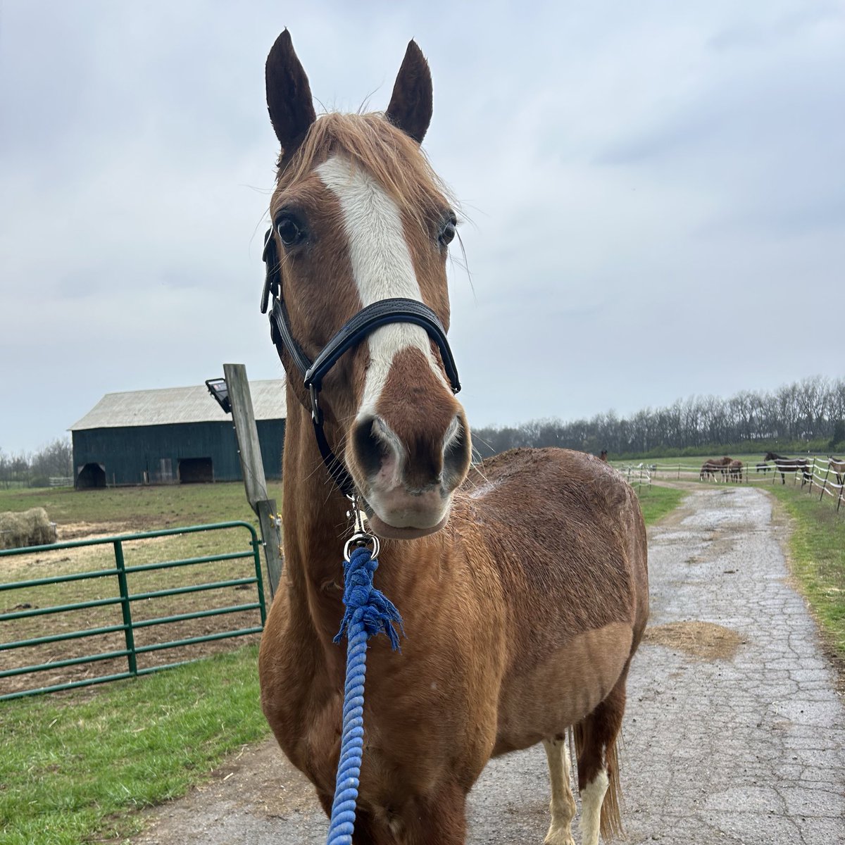 lc🏇🏼 tweet media