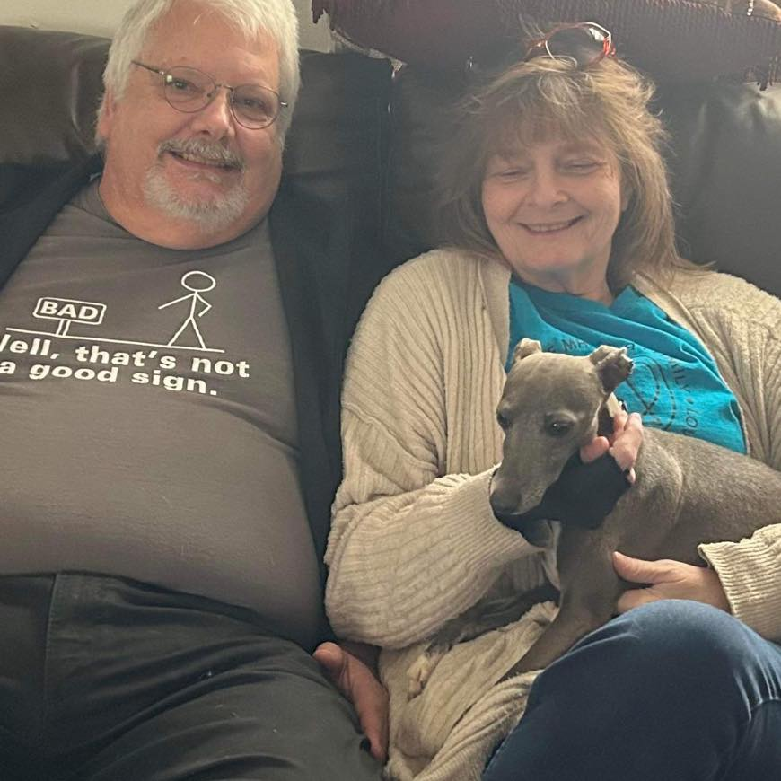 SaveASighthound's tweet photo. Winks is adopted! https://t.co/pyitqKBPil