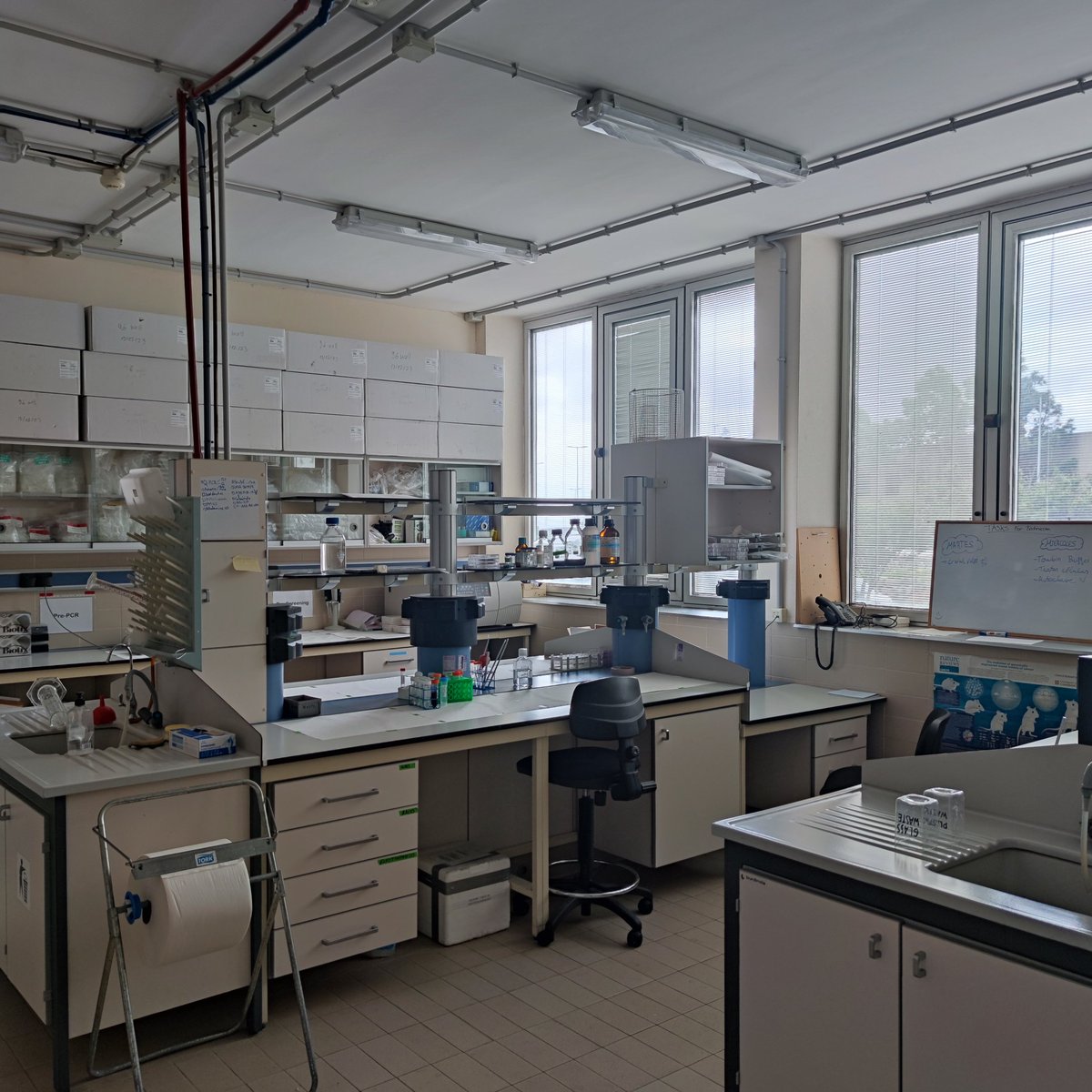 BioLab 🇮🇨 tweet media