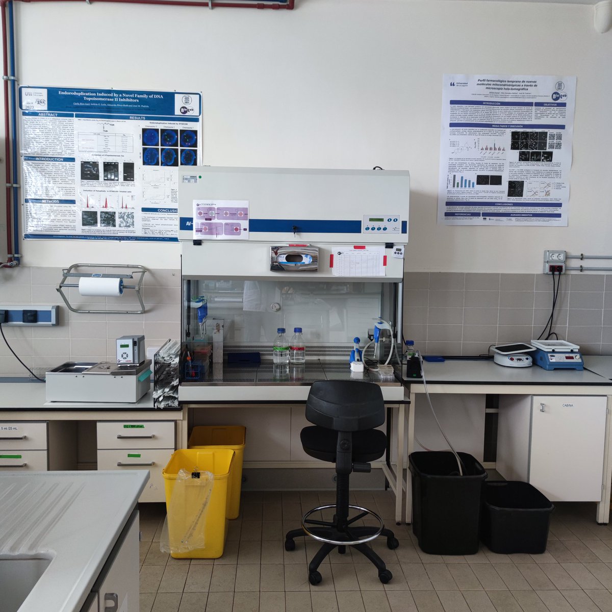 BioLab 🇮🇨 tweet media