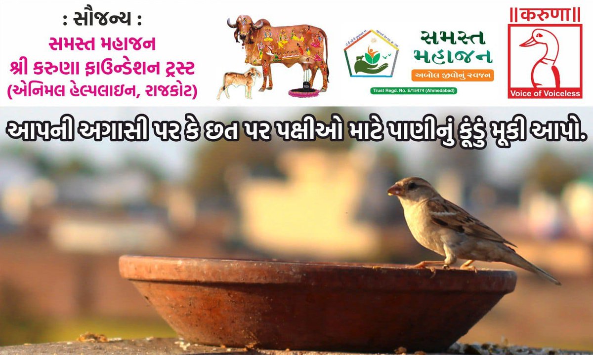 આપની અગાસી પર કે છત પર પક્ષીઓ માટે પાણીનું કૂંડું મૂકી આપો.
#BirdFeeding #BackyardBirds #FeedingFrenzy #WildlifeWatch #FeedTheBirds #BirdLovers #BirdFeeders #NatureLovers #FeatheredFriends #BirdWatching #BirdCare #AvianDiet #BirdFood #BirdSeed #FeedTheFlock #FeedingTime