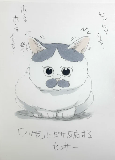 『ノリ吉の耳の基本性能』 