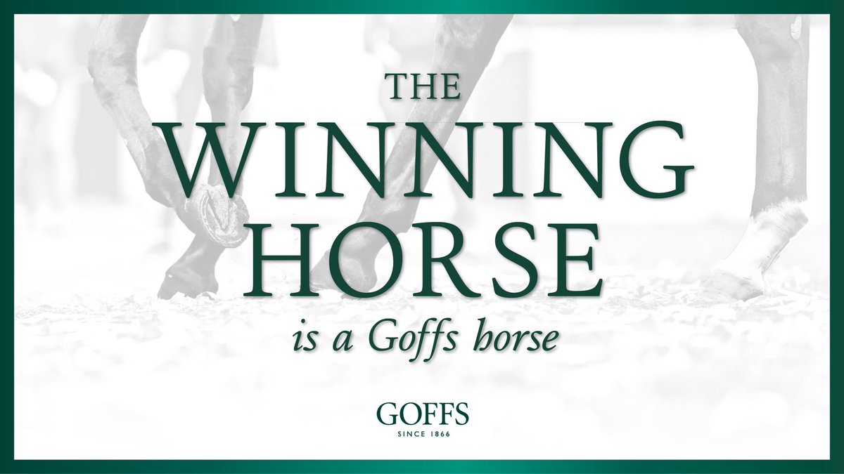 Dual #GoffsGrad MAGICAL HILL 🪄 makes a winning star to his hurdling career @Huntingdon_Race for @pnevilleracing 🥇

The 5yo was sold at #GoffsJanuary by Trickledown Stud to T.Finn & then at #GoffsSpring by @MonbegStables to the trainer.