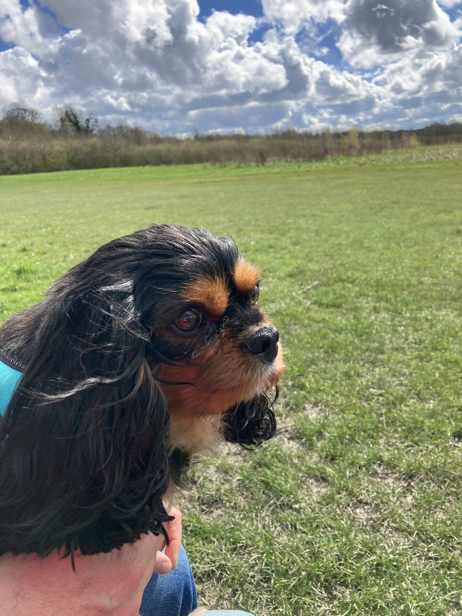 Hiya pals 👋Not been feeling great this weekend & not up for a big walk, so we had a little drive out in the sun to have a look at the views from the comfort of the car. Did manage a little sit on a bench for a bit though😎❤️@NicPrice22