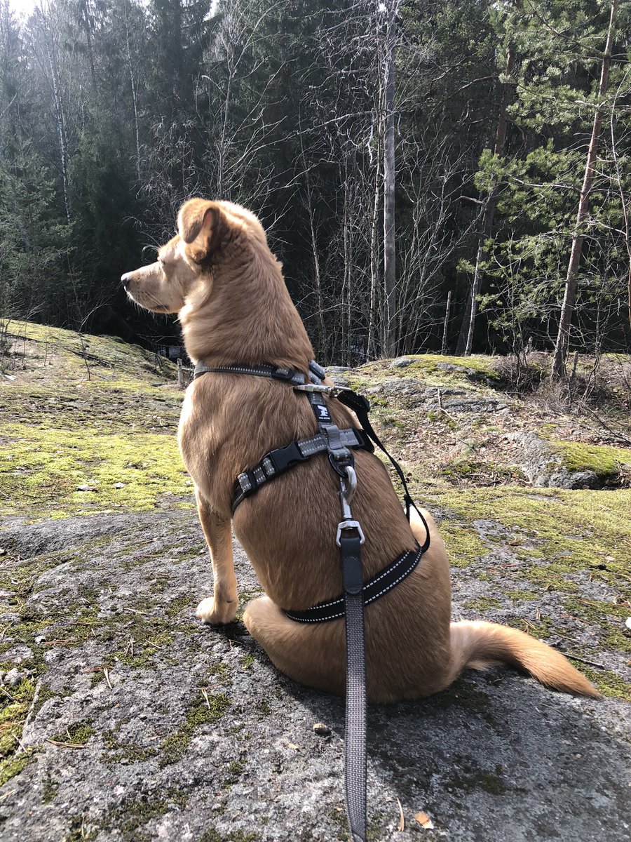 Ekat kalliohengailut, +13 😍