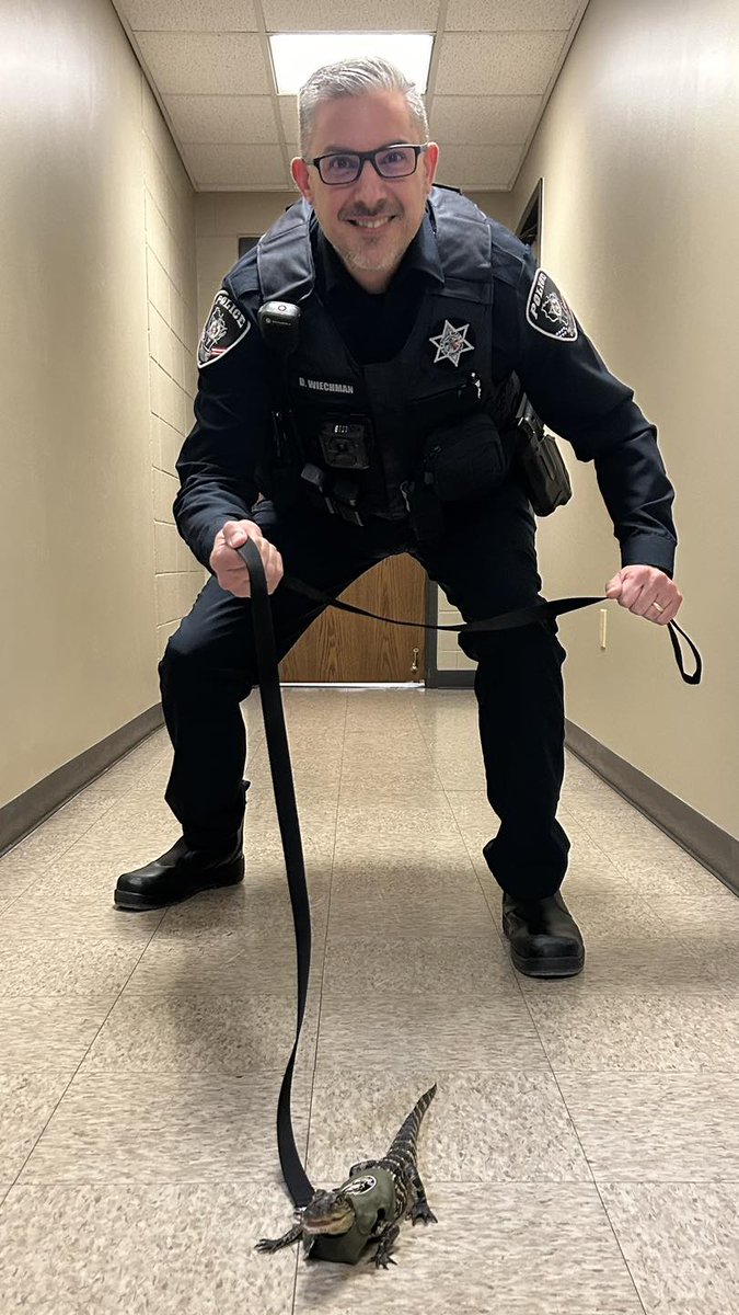 Fox Crossing Police tweet media