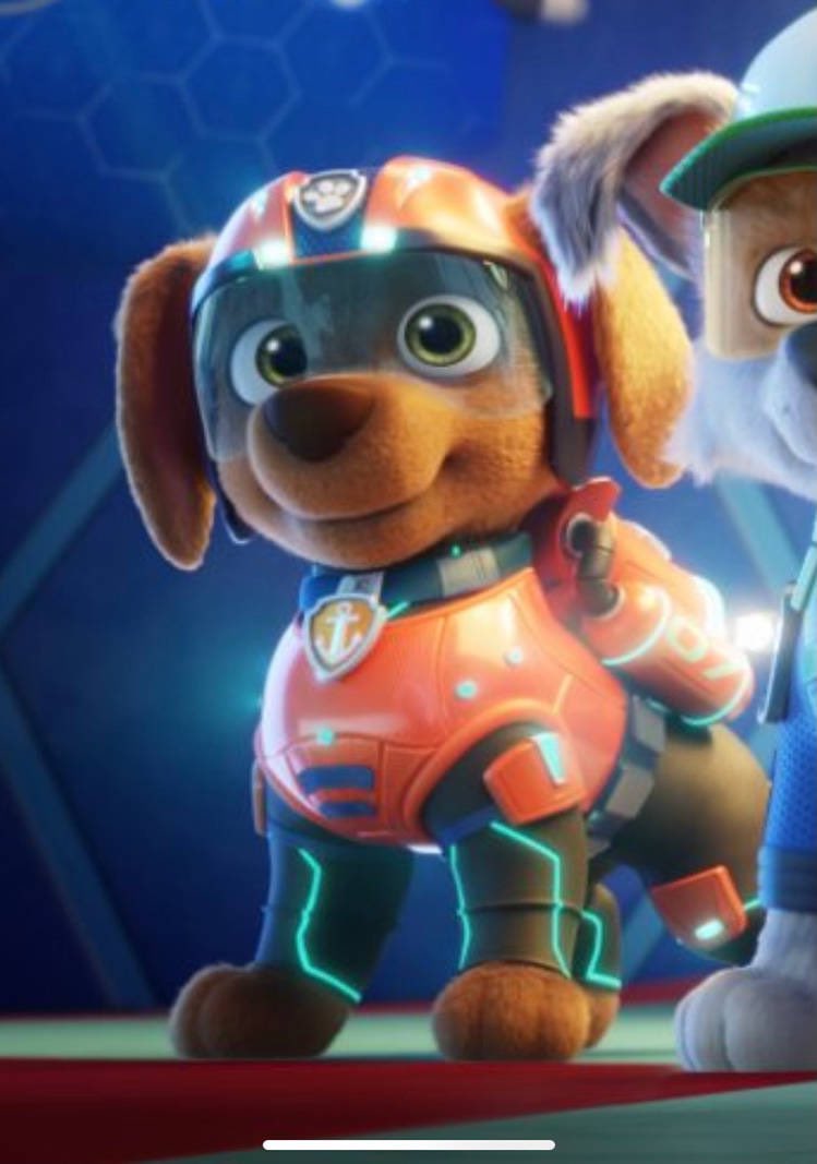 Da3picMeat's tweet photo. Breaking: Zuma will be the main character in Paw Patrol 3!

Source: Deadline
#pawpatrol https://t.co/uVTK7Q4FZ8