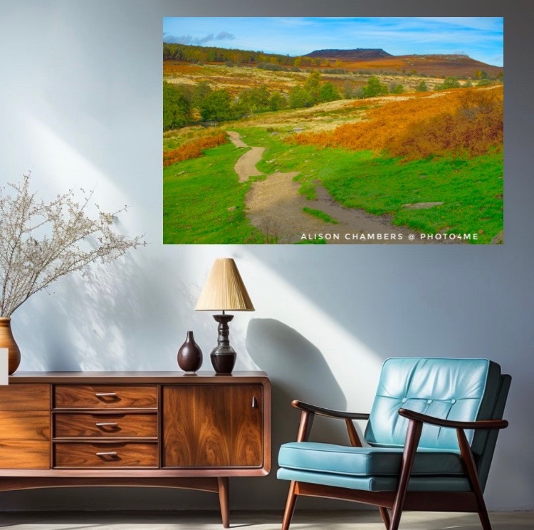 AlisonC24426188's tweet image. Footpath To Higger Tor©️. Available from; shop.photo4me.com/1319158 &amp;amp; alisonchambers2.redbubble.com &amp;amp; 2-alison-chambers.pixels.com #higgertor #carlwark #burbagevalley #peakdistrict #peakdistrictnationalpark #longshawl #peakdistrictphotography