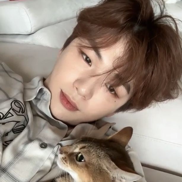 Danik (@kangthedan) on Twitter photo 