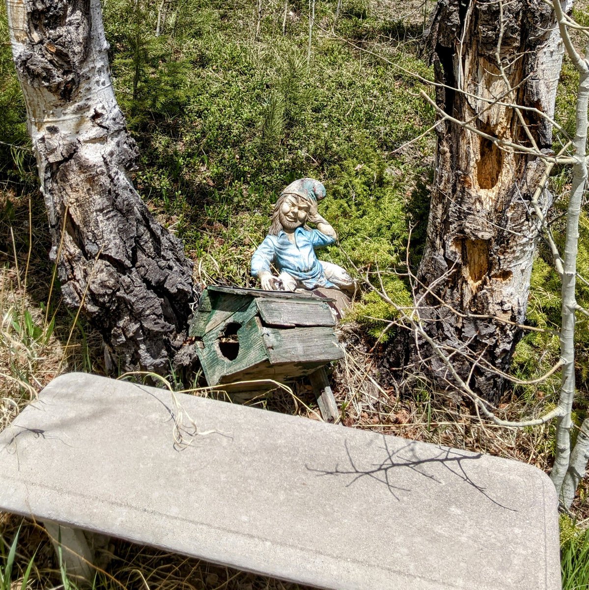 Monday Inspiration...'tis Monday as well as April Fools Day 😅 'Our wisdom comes from our experience, and our experience comes from our foolishness.' ~ Sacha Guilty Photo: Gold Hill Cemetery est. 1866 - Gold Hill, Colorado theordinaryextraordinarycemetery.com #mondayinspiration #cemetery