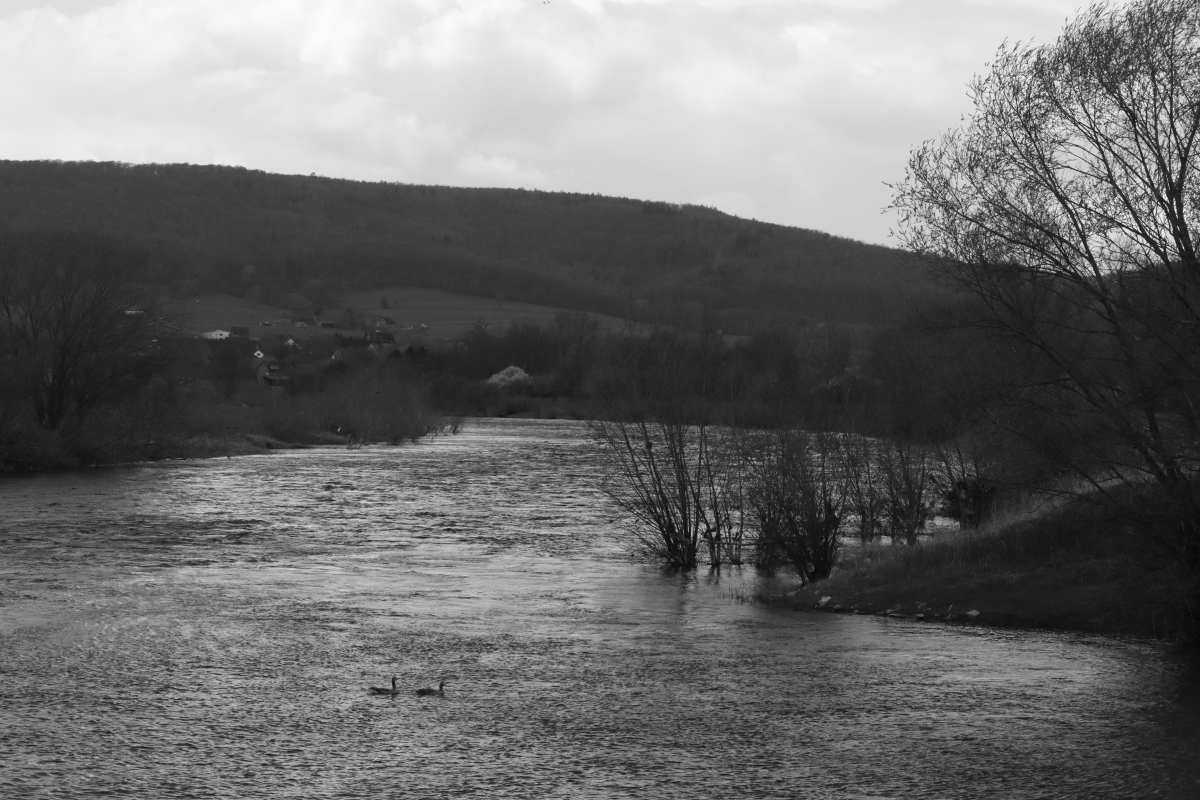 #photos #photography #blackandwhite #landscapephotography #landscape #Fotografie #Fotos #Landschaft #river #nature #riverscape #blackandwhitephotography #monochrome