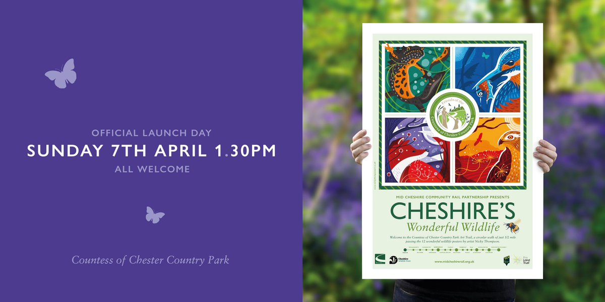 FriendsCoCCP's tweet photo. Only 6 days to go until this stunning board designed by @nickythompsona1 will be unveiled by the @Friendly_Bench in the @CountessPark by @MayorChester at the official opening of the #CheshiresWonderfulWildlife art trail.
Thanks to @MidCheshireCRP for loaning them.
All are welcome https://t.co/80JBaFUwEp