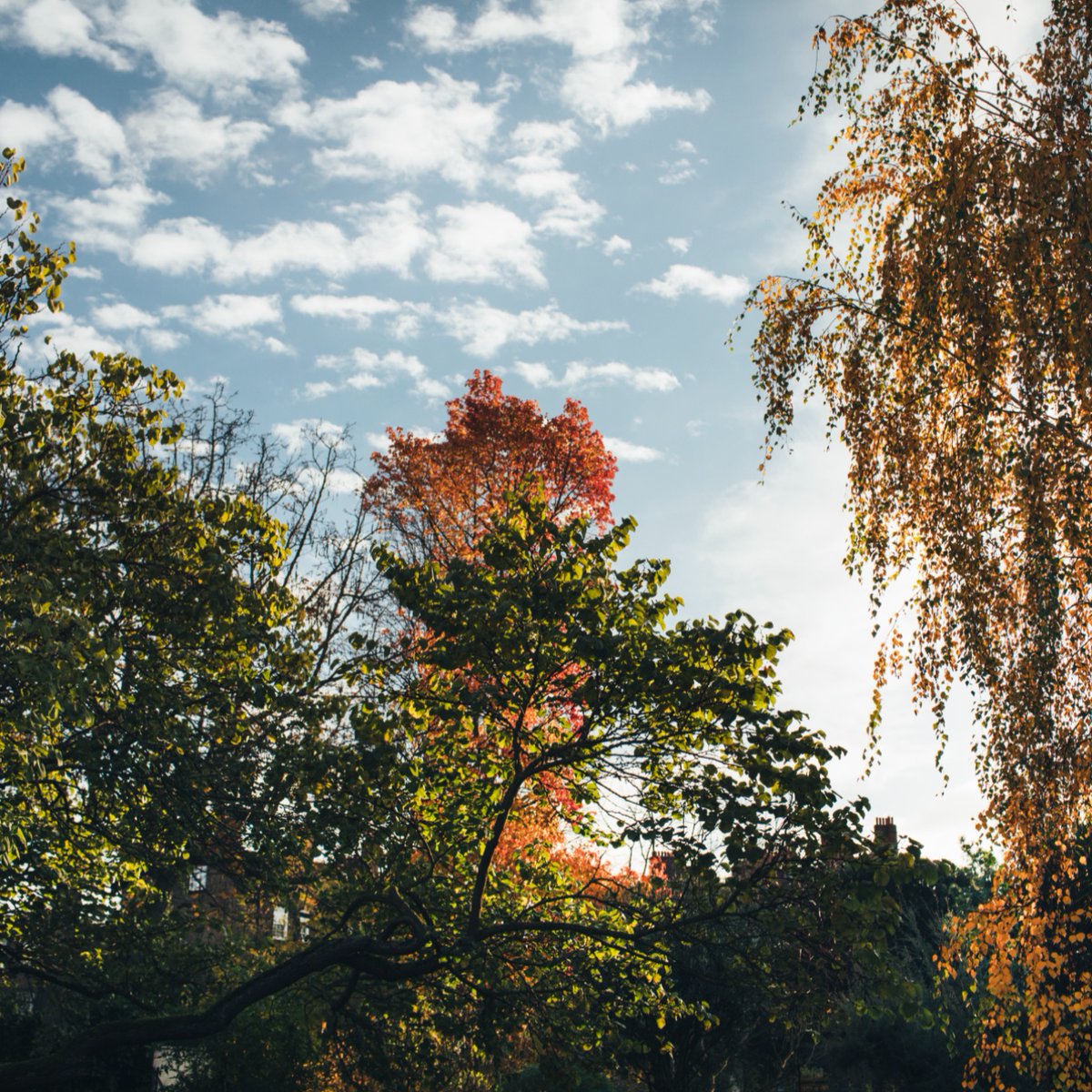 Many of you spotted our #AprilFool! We are not a psychic garden, but a physic garden - one that is based on the medicinal properties of plants, and not one which is witness to inexplicable phenomenon or the paranormal. 👻 We hope you enjoyed the April Fool’s Day post. 👋🌿