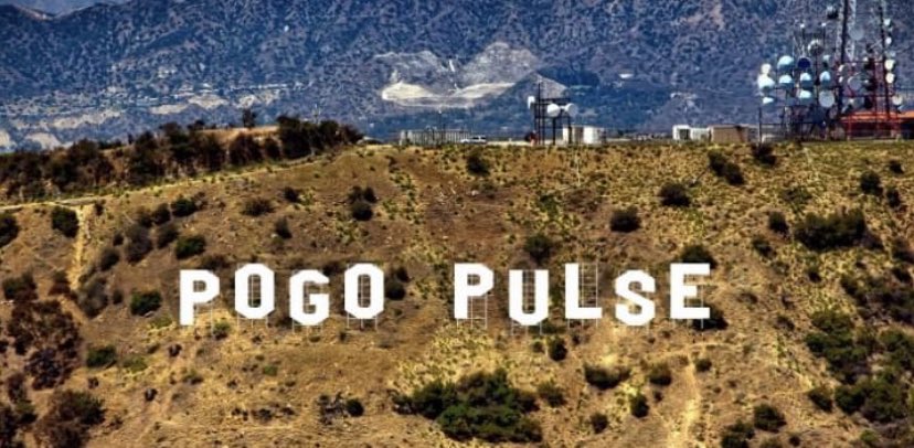 #pogopulsela #pogopulselosangeles #pogopulsehollywood who wants to see stars fly high? Let’s get kids jumping in LA!