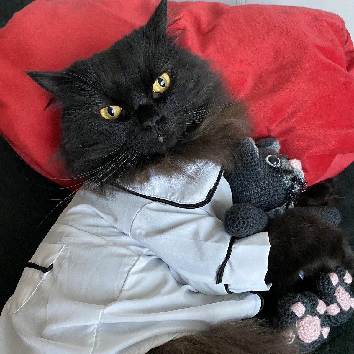 I did an April Fool’s Prank earlier! 😸 I’ve no intention of starting a cat outfit fashion line. Between my volunteering activities, naps, meowlidays and looking after my human, I don’t have the time! 🐾 … thank you for your brand name suggestions! 🐈‍⬛ #cat #aprilfools #meow