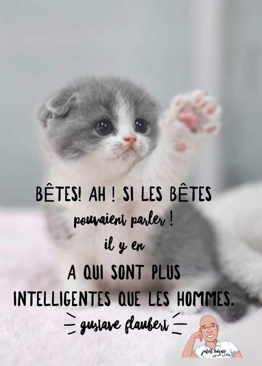 bêtes. - Ah ! si les bêtes pouvaient parler ! Il y en a qui sont plus intelligentes que les hommes. Gustave Flaubert