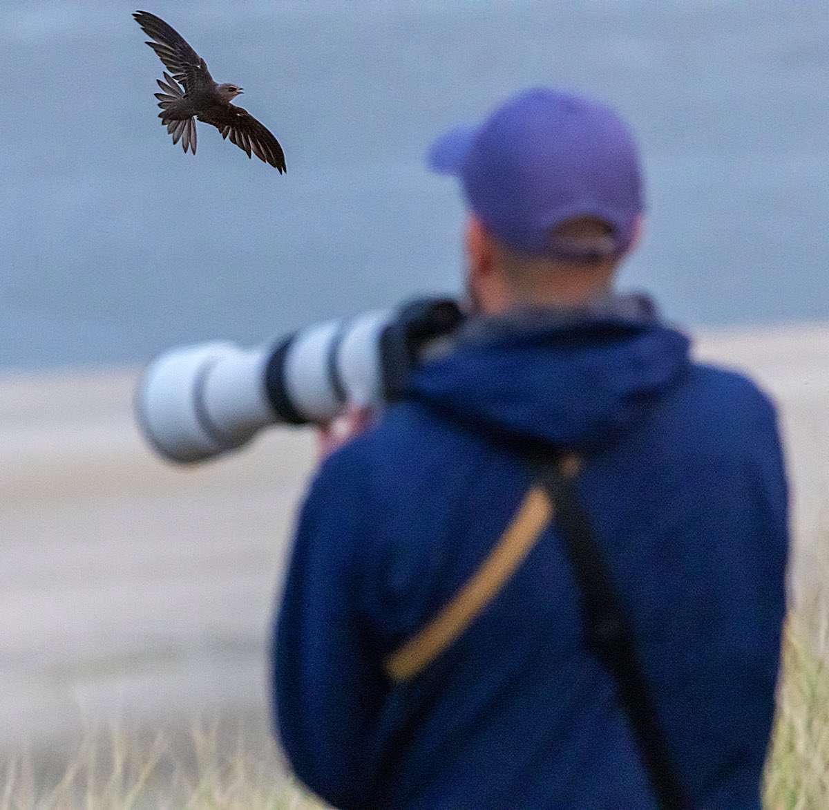 Marc Guyt tweet media