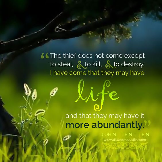 LDDeceptions's tweet image. #life #THIEF #Blessings #hope #Truth #bible