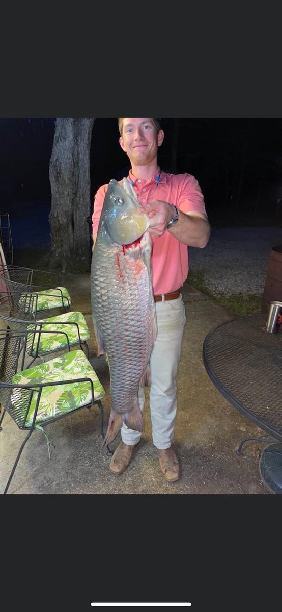 Glad to finally get this carp out of pond. 25 pounds of lazy.