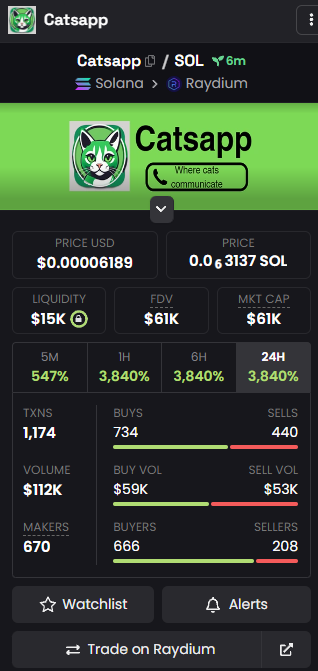 DEX UPDATED!

$CATSAPP