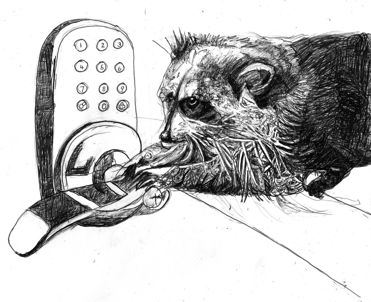 Robber racoon and keypad for #AnimalAlphabets @AnimalAlphabets #kleinekunst