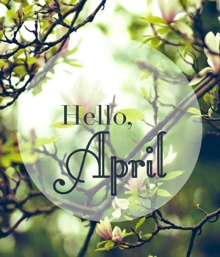 Good morning. Happy Monday, welcome April. Be safe.💙🙏🌻⚘🕊🌞