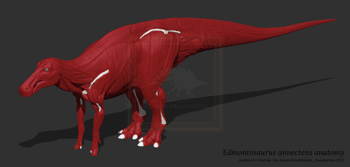 오늘의 작업 일지 끝
내일부턴 살을 만들어 보도록 하겠습니다.
#Edmontosaurus #anatomy #dinosaur #zbrush #지브러쉬