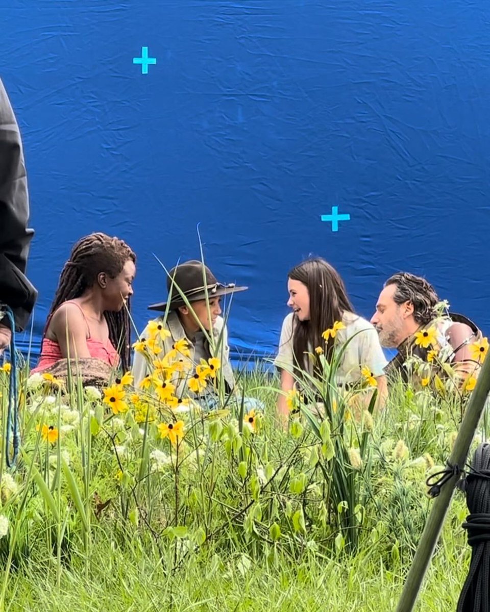 @CaileyFlemingNews tweet media