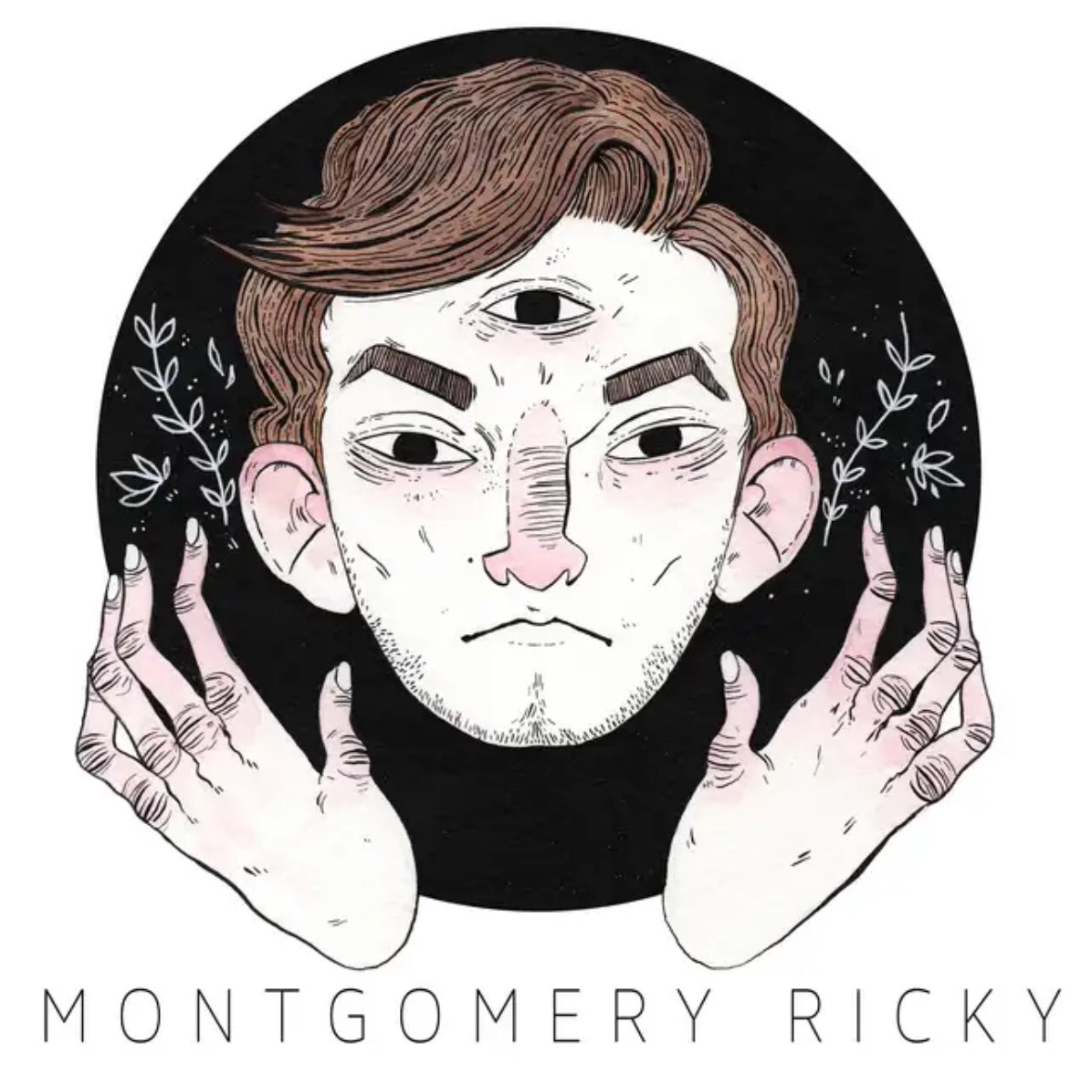 in 2014, i raised some money on kickstarter to make my first album it came out on april 1, 2016 happy birthday to Montgomery Ricky