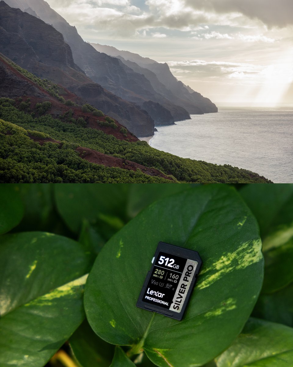 Absolutely stunning photos from Hawaii captured by Lexar Ambassador Kelsey Johnson 🏝️ 💾: Lexar Professional SILVER PRO SD