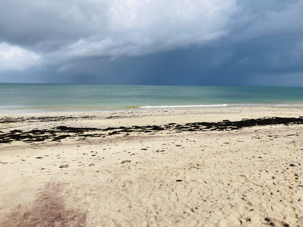 LEMAÎTRE Céline tweet media