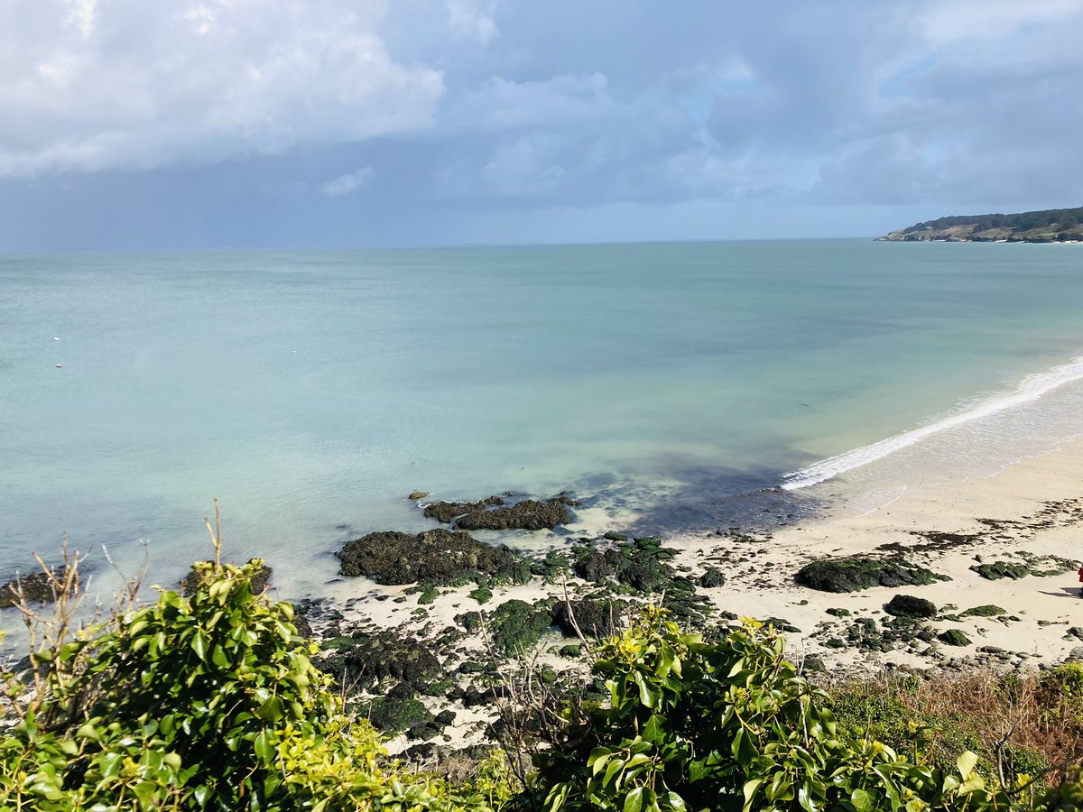 LEMAÎTRE Céline tweet media