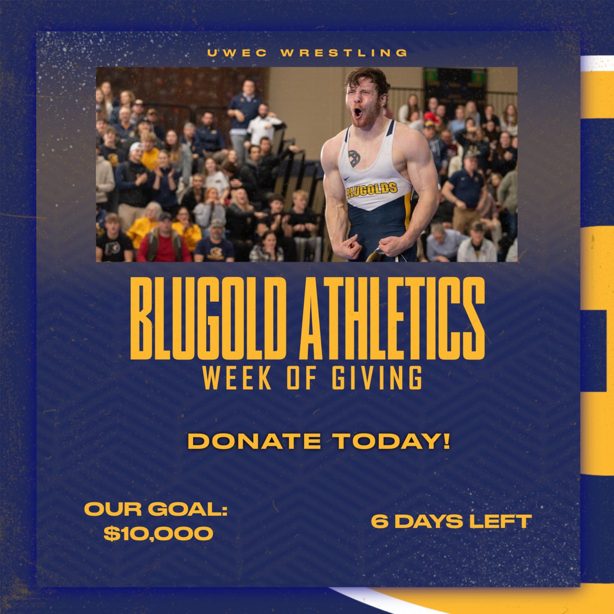 Blugold Wrestling tweet media