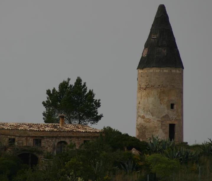 #MallorcaLiebeReihe Teil 5-7

FINCAWOLKEN
amazon.de/gp/product/B08…
FINCAWEGE
amazon.de/gp/product/B09…
FINCAWIRREN
amazon.de/gp/product/B0C…