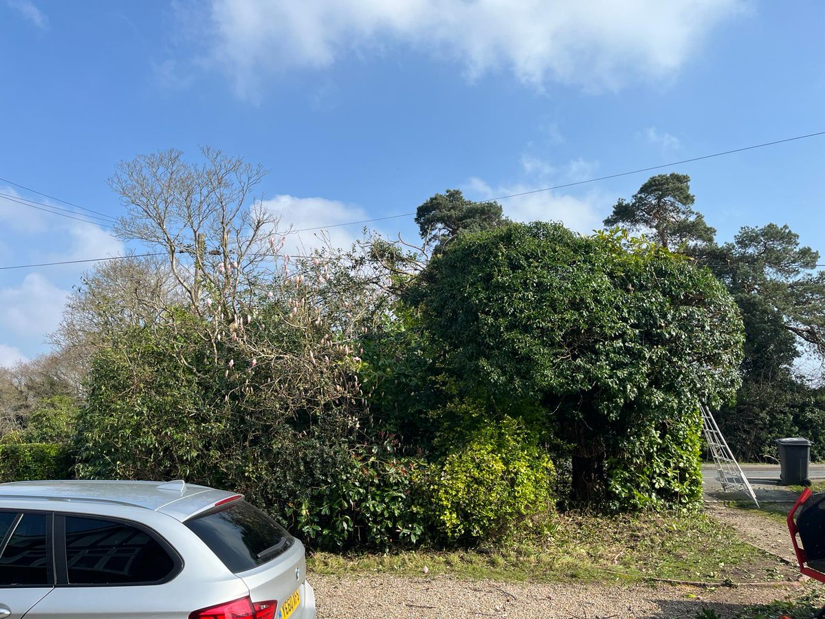 TreeProLtd's tweet image. As nature awakens and the nesting season approaches, our team at Tree Pro Ltd is dedicated to helping our clients prepare their gardens for this important time of year. Recently, we had the privilege of working with a client in Blean, Canterbury

Read more bit.ly/3xcWpYP