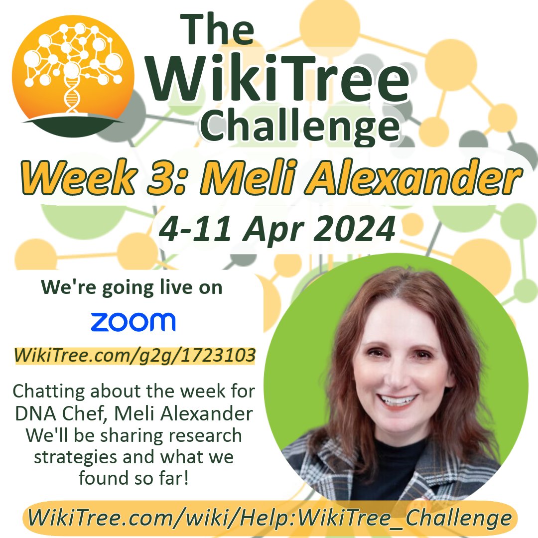 We’re going live on Zoom today at Noon (EST) WikiTree.com/g2g/1723103/?u… @TheDNAChef, @AmericanCousin1 Chatting about research strategies, locations, and what we've found so far #WTChallenge #CollaborativeGenealogy