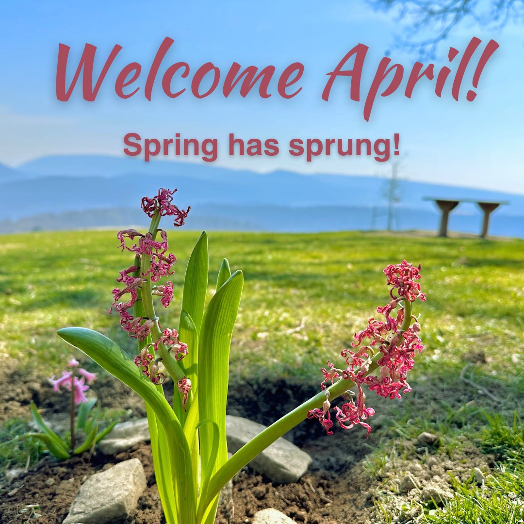 April has arrived and Spring is in full swing! Explore the wonders of nature and the beautiful views surrounding Kentuck Knob. Book your visit this Spring on our website (link in bio) or call (724) 329-1901.