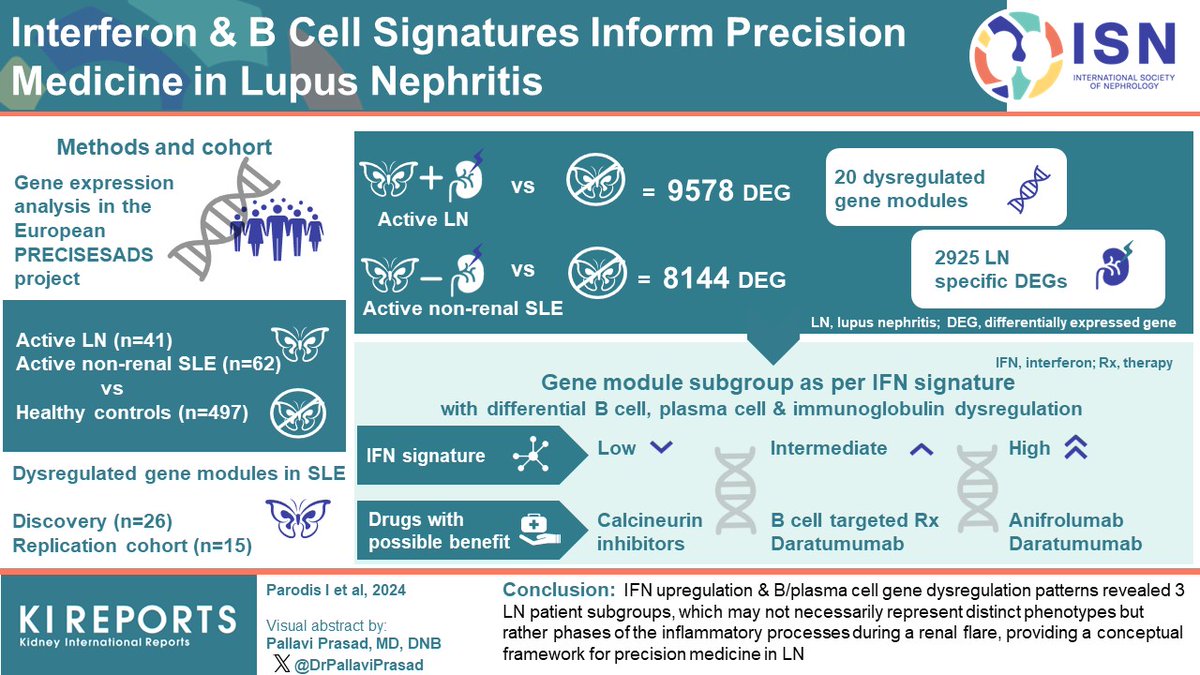 #Interferon and #Bcell Signatures Inform #PrecisionMedicine in #LupusNephritis #VisualAbstract by @DrPallaviPrasad kireports.org/article/S2468-… @IoannisParodis @JuliusLindblom @DionysisNik @parodislab