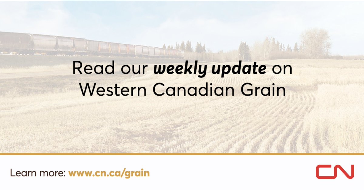 Our weekly report on grain movement in Western Canada is now available. Read about week 34 of the grain calendar here: cn.ca/en/your-indust…