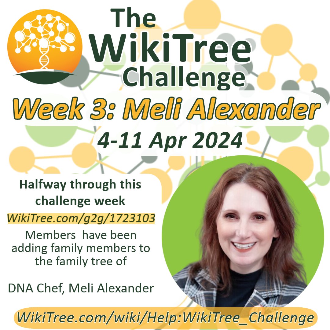 Halfway through this challenge! WikiTree.com/g2g/1723103/?u… Members working together on the family tree of @TheDNAChef, @AmericanCousin1 Researchers have found several interesting finds! #WTChallenge #CollaborativeGenealogy