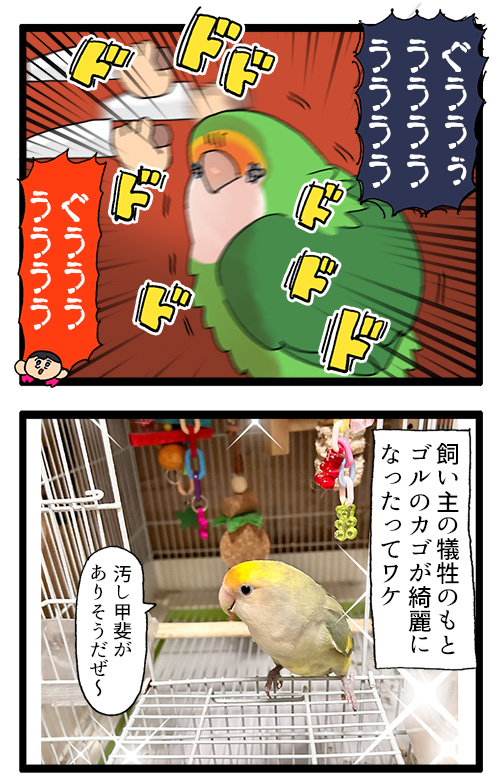 やめてくれゴルちゃん!!
私は君のカゴを洗いたいだけなんだ……!!🪥
1081 #えるポピの絵日記かくところ